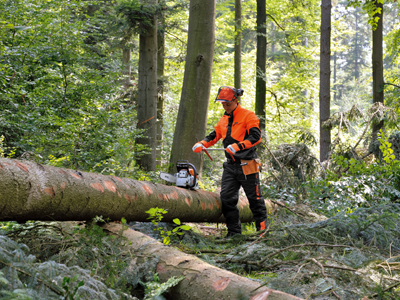 Forestry – Eco-Systems Inc.